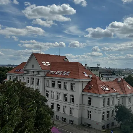 Birdsong Prag